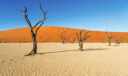 DAY 3 SOLITAIRE GUEST FARM SOSSUSVLEI Today you will visit Sossusvlei, a place which contains some of the highest sand dunes in the world. No part of the Namib Desert is more visually stunning.
