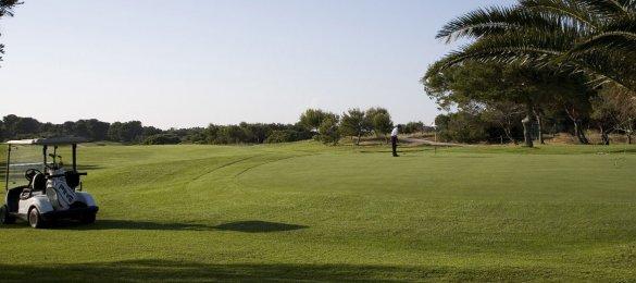 Golf The Parador de El Saler (Valencia) Golf course is considered by professionals, amateurs, institutions and the specialized press alike to have one of the best course layouts in the world.
