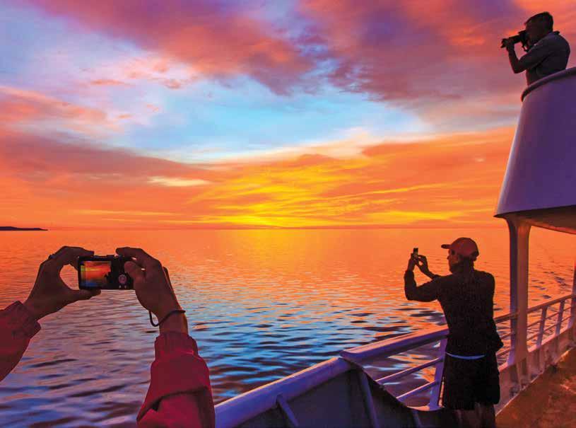 IN A LAND WITH PERFECT LIGHT, BENEFIT FROM EXPEDITION PHOTOGRAPHY Make the most of the unrivaled photo ops of Baja California s wild islands, whales, dolphins, pelicans, and sea birds with our