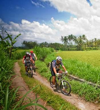 A GENTLE TRAIL 1.5 hours Minimum 2 persons Rp 250,000++ per person This gentle cycling tour is suitable for everyone, from beginners to skilled cyclists.