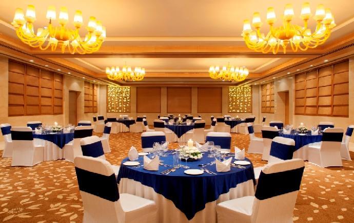 Party in the Grand Ball Room (GBR) with International dance troupe Reasons to select GBR New Year packages?