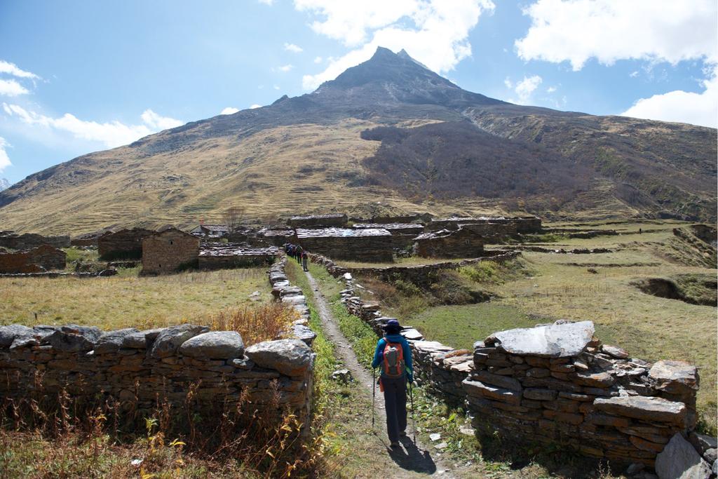 On our descent we walked through Martoli village 3400m which, in terms of its location is the most dramatic village in the valley.