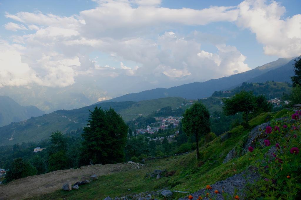 As one drives through Kumaon the most noticeable aspect is how different the terrain is as compared to