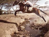 The riding safari ou i er, O eat Safaris, is one of Africa's top horseback safari operators with over 25 years experience organising mobile riding safaris in Kenya s Masai Mara,
