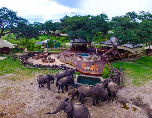 SOMALISA ACACIA Hwange National Park, Zimbabwe Somalisa is the perfect luxury safari experience for families with younger children or smaller
