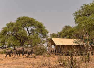 Camp (2 hours) - road transfer from Victoria Falls (3-4 hours).