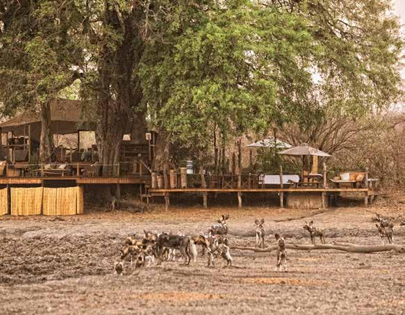 KANGA CAMP Mana Pools National Park, Zimbabwe Set in the most remote part of the World Heritage Site in Mana Pools is the Kanga Pan, not too far from Chitake