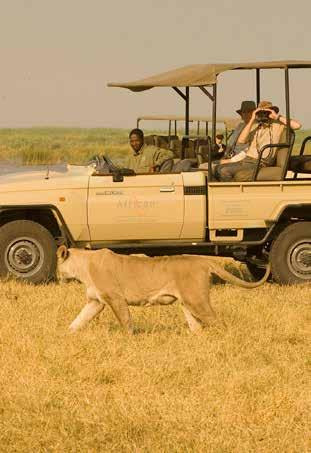 As the only source of water in the dry months, the Linyanti marshes are one of the most sought after destinations in Northern Botswana, boasting a great