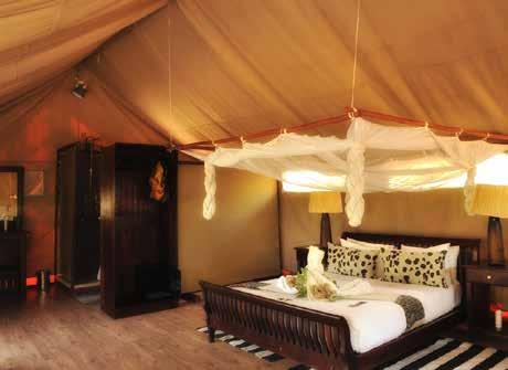 CAMP FACILITIES: Number of Beds: 6 luxury tents with a total of 12 beds (triples are available on request) Style: Luxury tented camp.