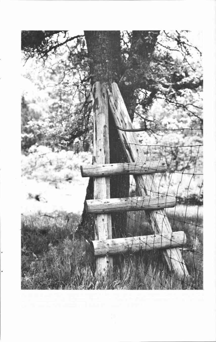 A present day stile located alongside the Applegate Trail, beyond the oak tree, on the upper watershed of