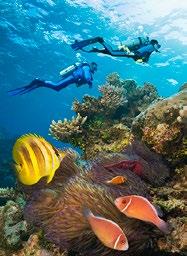 Contents UNDERSTAND JEFF HUNTER / GETTY IMAGES DIVING, GREAT BARRIER REEF P32 Airlie Beach... 191 Conway National Park...197 Long Island...197 Hook Island...197 South Molle Island...198 Daydream Island.