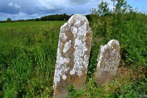 headstones in the overgrowth, looking northwest The burial ground is located on a low rise in a field in pasture in the townland of Kildellig.