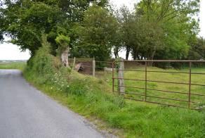 east The burial ground is situated in the townland of Clonard or Cappaloughlin. The road through the townland reportedly bisects the burial ground.