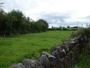 Barker Archaeological Services Burial Ground ID: L030 Name: Castlequarter, Cullahill Townland: Castlequarter Dedication: None NGR (E,N): 235492, 174000 RPS No: N/A National Monument No: N/A RMP No: