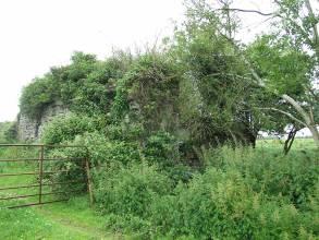 is located within pasture land, close to the road in the east. There is a hedgerow boundary to the north and a modern house and shed to its south.