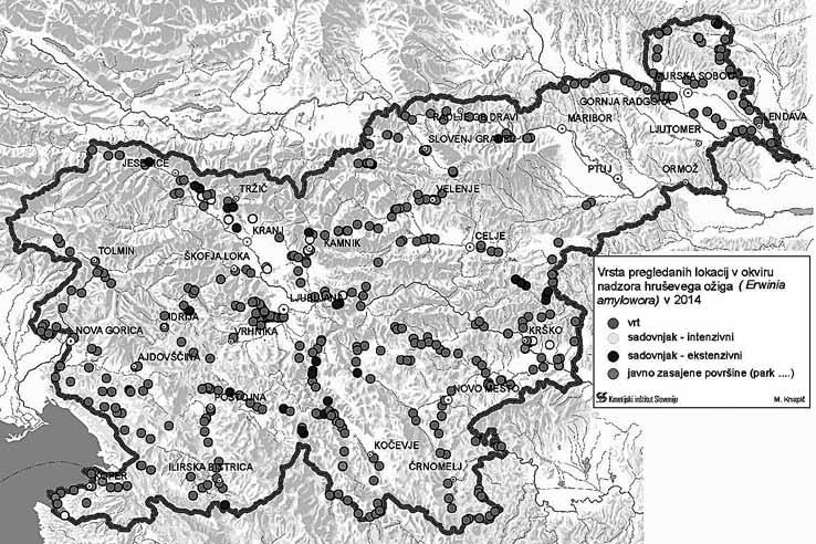 Kmetijski inštitut Slovenije Prikaz točk sistematičnega nadzora hruševega ožiga, glede na vrsto pregleda, opravljenega na Kmetijskem inštitutu Slovenije v letu 2014 (OVR) pregledov na zasebnih