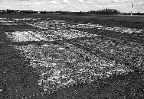 Poročilo o delu 2014 Preskušanje učinkovitosti delovanja apnenega gnojila podjetja Calcit d.d. Apnenje tal je agrotehnični ukrep, s katerim vplivamo na zmanjšanje kislosti tal (ph).