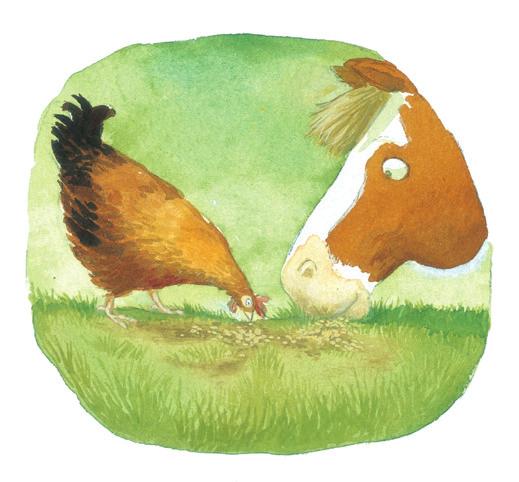 Bramble and Maggie: GIVE AND TAKE Give and Take NAME Maggie and Bramble and Bramble and the hen have to learn how to give and take so that they can get along.