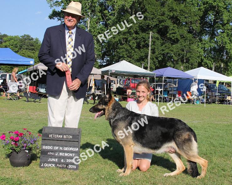 Agent: Ray Lewis. BEST OF BREED 167 AM PM CH. Ranita's Eye of the Storm. DN32112501. 10/18/2011. Breeder: Anita Clouse. By: GCH.