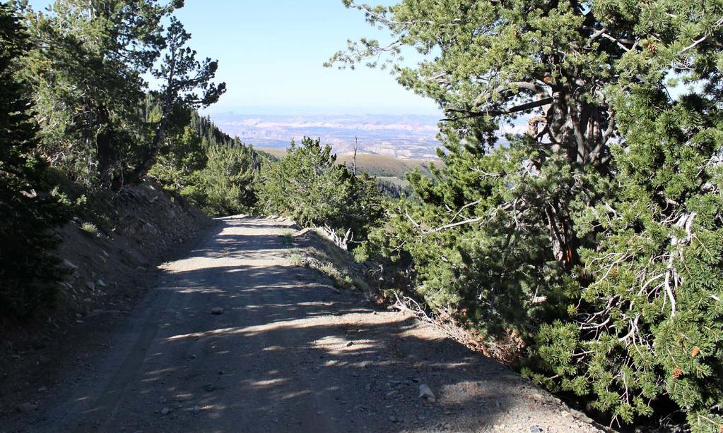 Bull Mountain - Scenic Backway The Bull Mountain route offers travelers a staggering view inside the heart of Colorado Plateau country.