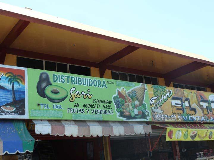 Avocado fruit sales are extremely common at this market, there are at least 10 vendors selling fruit.