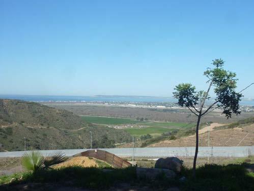 This photograph above was taken from a residential area in Tijuana that has backyard avocados. The USA-Mexico Border Fence is clearly visible as is San Diego in the background.