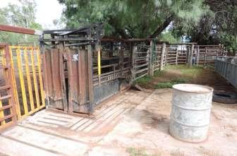 15 Information Memorandum STOCKYARDS The Native Bee stockyards are all steel, comprising a mix of portable panels and