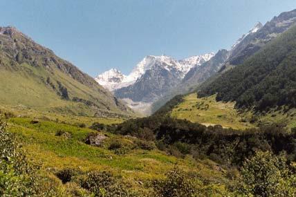 ASIA /PACIFIC VALLEY OF FLOWERS NATIONAL PARK