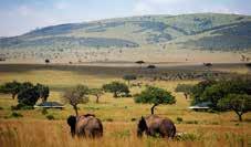We can assure you that you will not bump into anyone else and you will see the most extraordinary natural wonders - spectacular animal life that is wild, free and exhilarating to observe and a