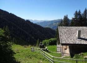 After a rustic stop and after being well invigorated by the best dessert called 'Buchteln', you walk downhill on a wonderful forest path and on a high-up route to the famous holiday resort Saalbach-