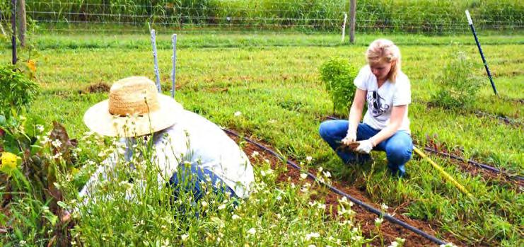 Farm Like a Women in Agritourism: Joining Efforts to Succeed!