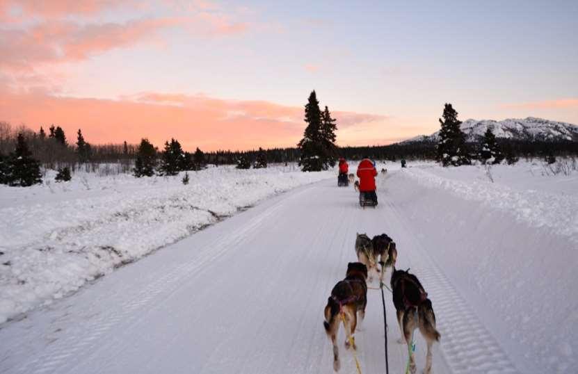 DAY THREE Explore the city of Whitehorse Aurora viewing DAY FOUR Morning at Leisure Dogsledding experience Aurora viewing This morning you ll venture downtown to the city of Whitehorse for a tour