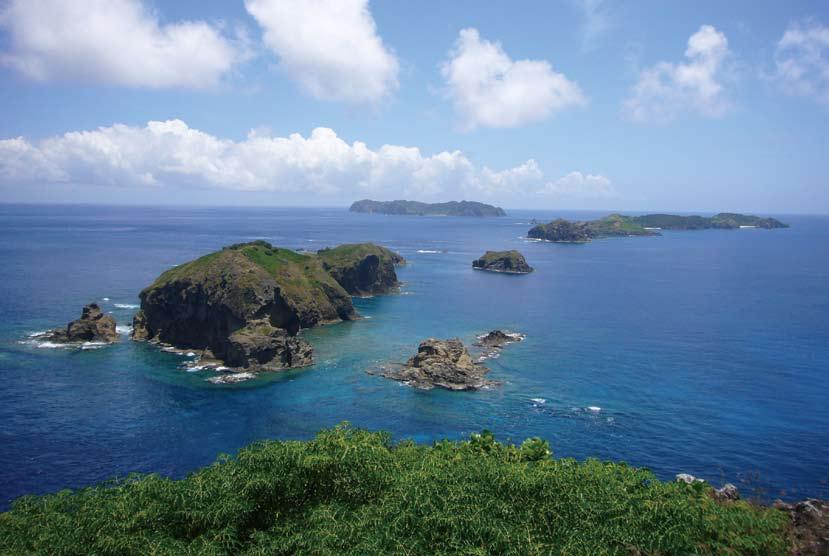 World Natural Heritage, Ogasawara Islands Value of the Ogasawara Islands On the Ogasawara Islands, one can see numerous endemic creatures that evolved independently on these small islands isolated by