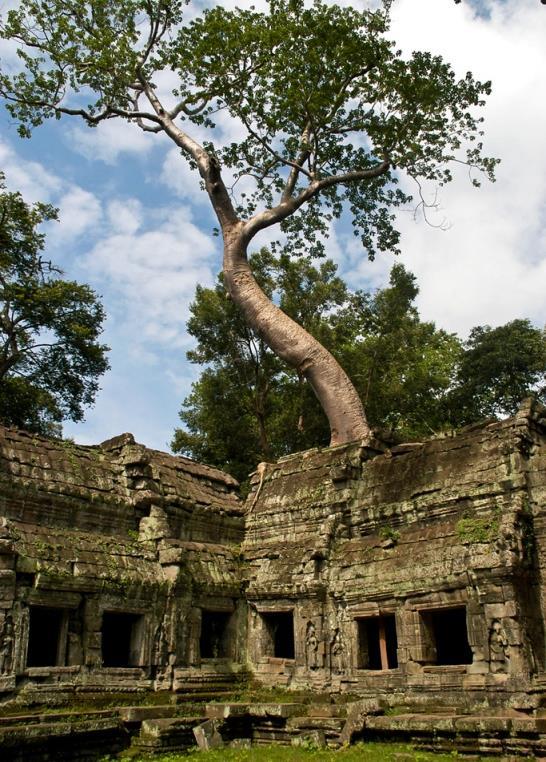 Spend the morning exploring Angkor Thom at leisure. For lunch, you may wish to return to your hotel or head into town; it's best to avoid the midday heat in the summer, when it can get as hot as 45 C.