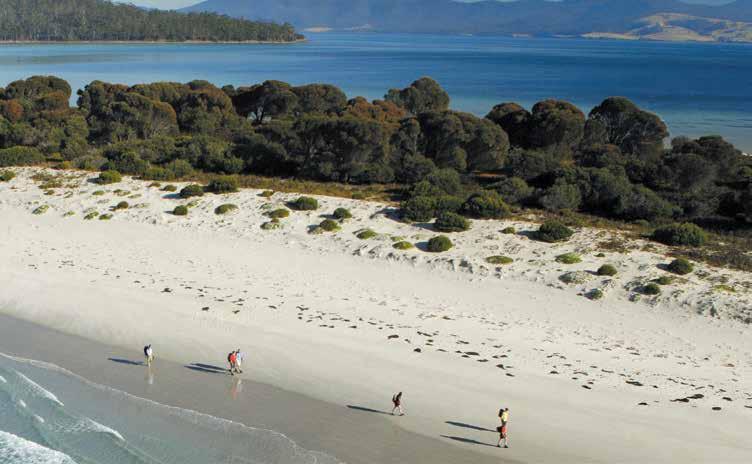 Small groups of just 10 guests and two guides enjoy gentle walking by day and candlelit gourmet dining at night. The Maria Island Walk itinerary: Day 1: Hobart to Maria Island.