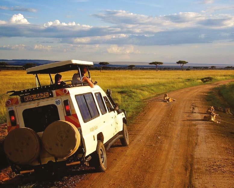 TERMS & CONDITIONS RESERVATIONS Wildlife Safari requires a deposit of 20% of the total tour cost to confirm your travel arrangements with balance of payment due sixty days prior to your departure