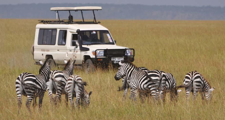 Enjoy amazing and unhurried game viewing while staying at outstanding hotels, lodges and tented camps throughout the country with two nights spent at most sanctuaries with an extra night in the
