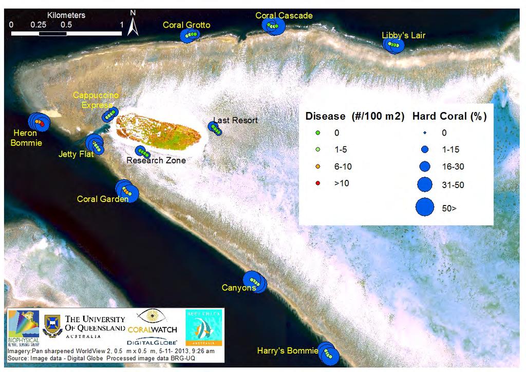 Figure 3. Map of Heron Island with Reef Check hard coral cover and coral disease data.