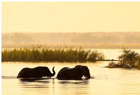 The legendary Zambezi River is in itself a spectacle and is the namesake of this pristine wilderness.