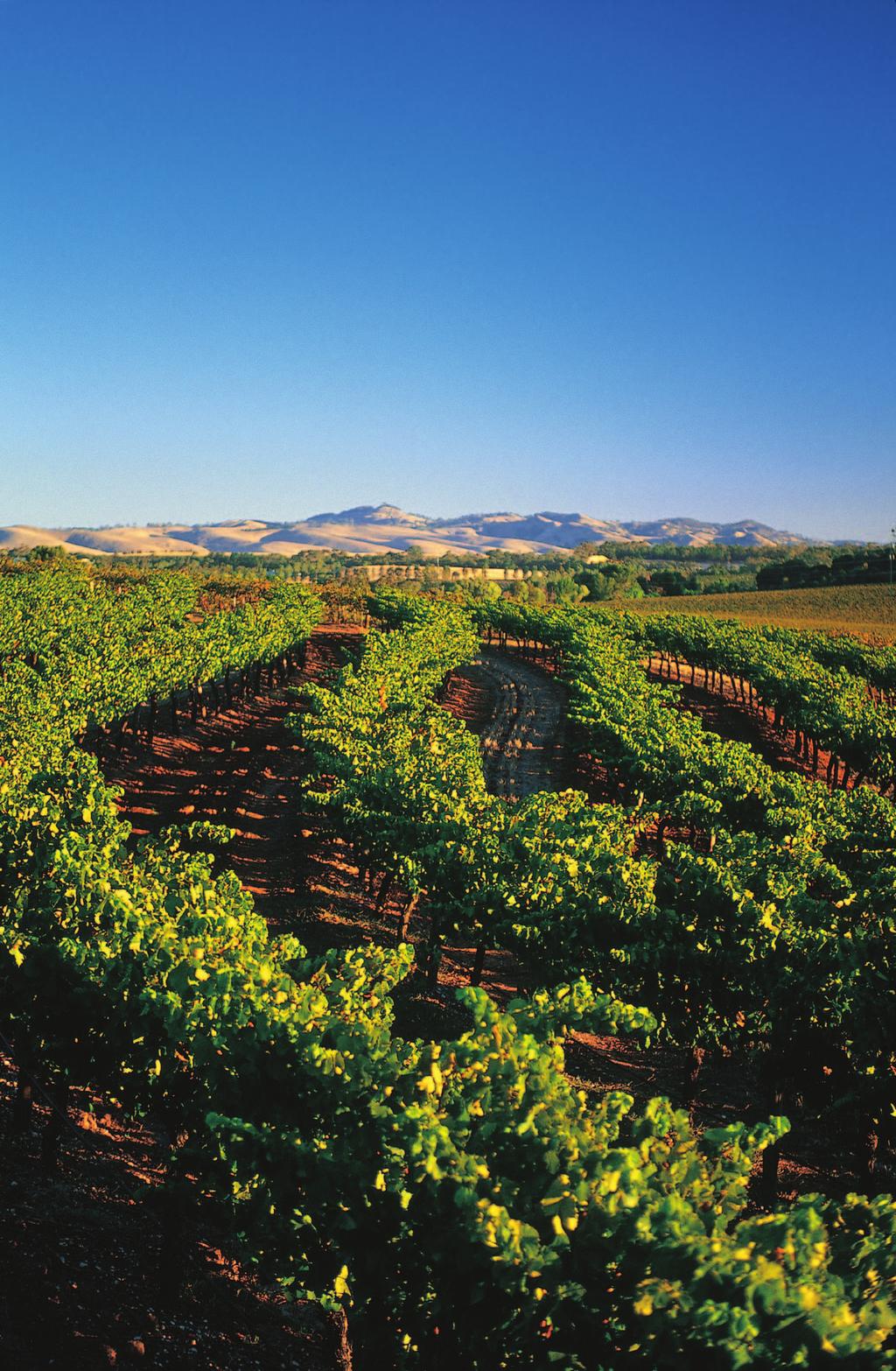 THE LOUISE Barossa Valley, South Australia Food & Wine Collection - THE LOUISE 5-day/3-night from HKD10,990 between Hong Kong and Adelaide on 1 night accommodation at InterContinental Adelaide (Club