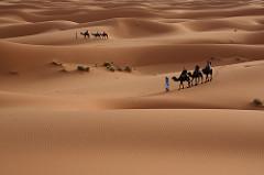 日本語 [1] December 30, 1992 [2] [3]The Beauty of the Desert [4]9 years ago ago at Adrouine, Meknes-Tafilalet, Morocco [5] by alex lichtenberger [6].