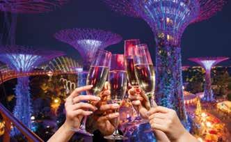 Champagne @ OCBC Skyway Arcing across Supertree Grove, OCBC Skyway is an aerial walkway 22 metres above ground. Guests will enjoy a scenic stroll with breathtaking views of the city skyline.