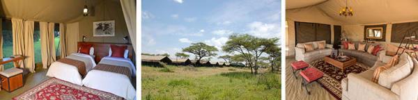 OR The Serengeti Shared Safari Camp makes use of a traditional mobile tented camp on a shared-use basis, periodically moving location within the Serengeti according to Migration game movements and