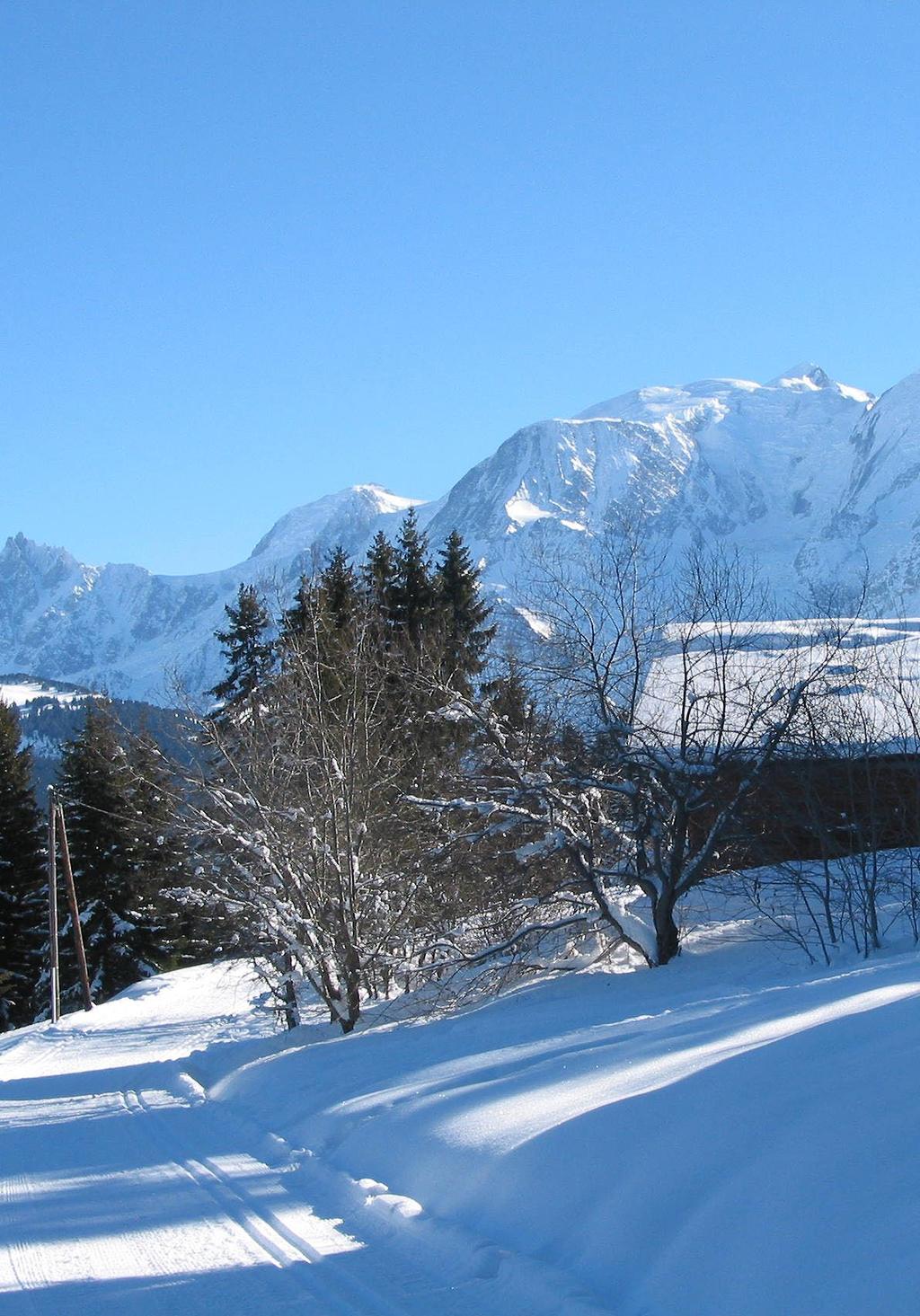 collection of chalets represents the very rare opportunity to own a detached ski property within a