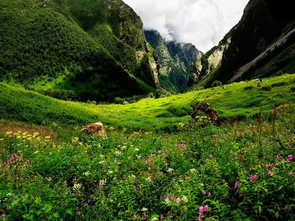 #7 Valley of Flowers and Hemkund Trek Region: Uttarakhand Duration: 05-06 days Grade: Easy Max Altitude: 12,655 Ft.
