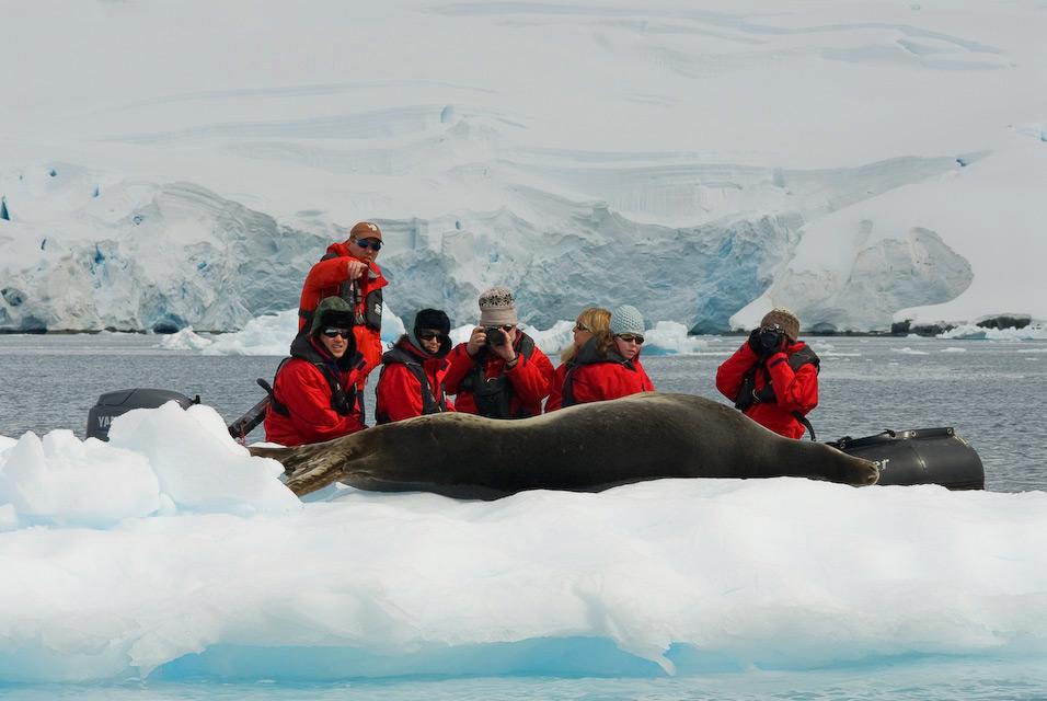 Sample Itinerary Antarctic Peninsula (14 days): Days 1 & 2: The South Shetland Islands These wildlife-rich islands are located at the very northern extent of Antarctica and are home to numerous