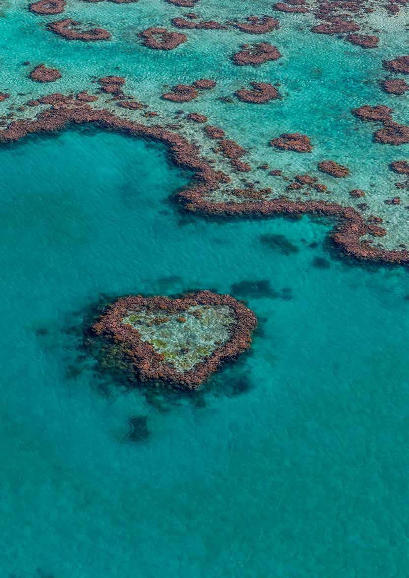 Queensland is home to the Great Barrier Reef nature s greatest gift to Australia
