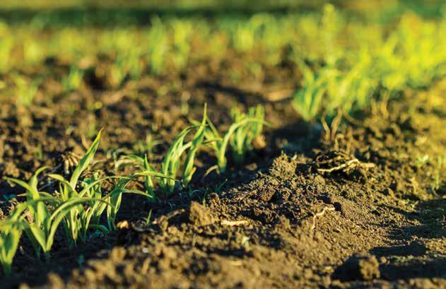 Некои модели на агроеколошки мерки Примена на органско земјоделско производство Органското земјоделство се темели на принципи за заштита на почвата од деградација и ерозија, одржување и зголемување