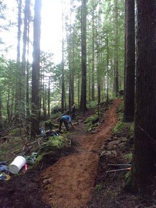 6. Maintenance Trail maintenance is an integral component of managing trails.