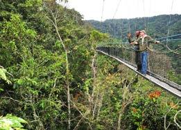 NYUNGWE NATIONAL PARK WESTERN PROVINCE Park Entrance fee: US$ 30 per person per day Within the Great Rift Valley lies Nyungwe Forest, acclaimed for its biodiversity and endemic species richness.